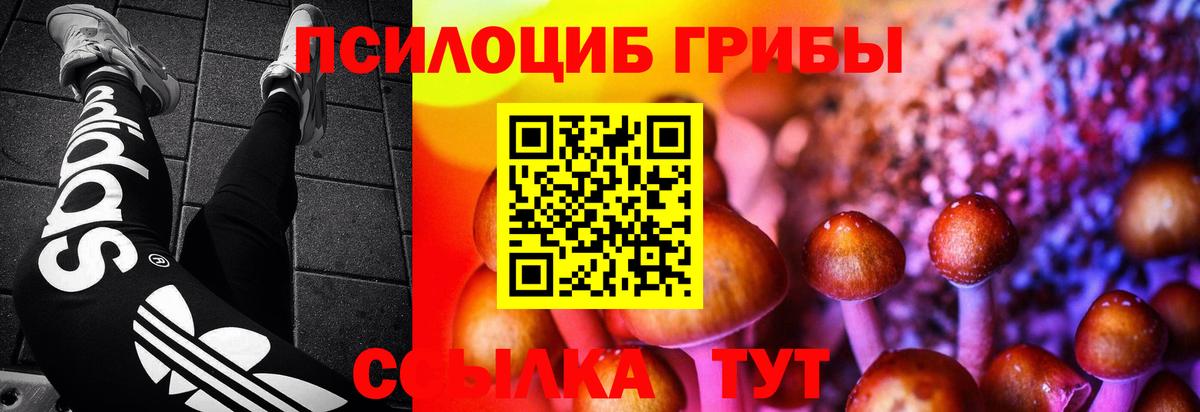 Красноярск  Псилоцибиновые грибы мухоморы  Вход с VPN  Псилоцибиновые грибы Psilocybine cubensis 